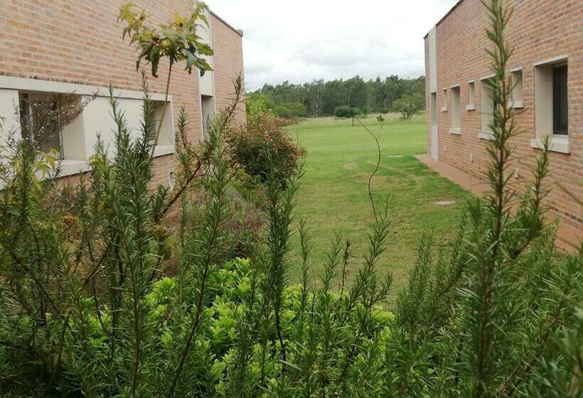 스탠다드 룸, Juana De Ibarbourou