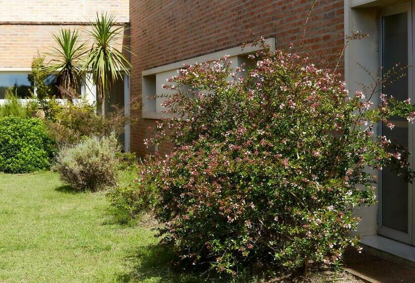 스탠다드 룸, Juana De Ibarbourou