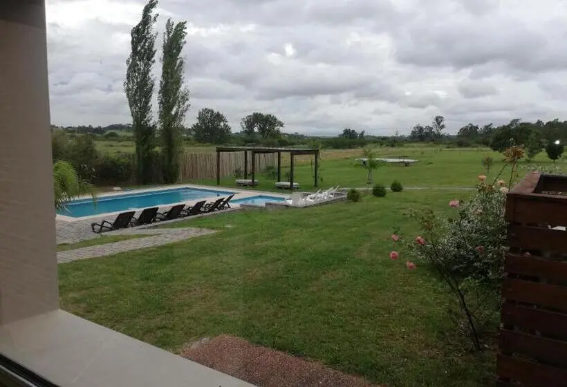 Superior Yhden Hengen Huone, Juana De Ibarbourou
