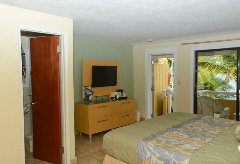 Habitación Estándar con Vistas, Lindbergh Bay