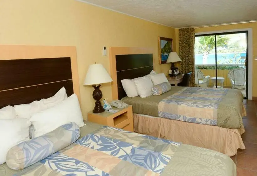 اتاق استاندارد با 2 تخت دوبل, Lindbergh Bay