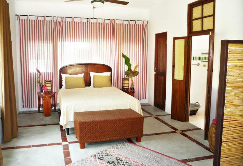 جناح, Togo B&b Farallon