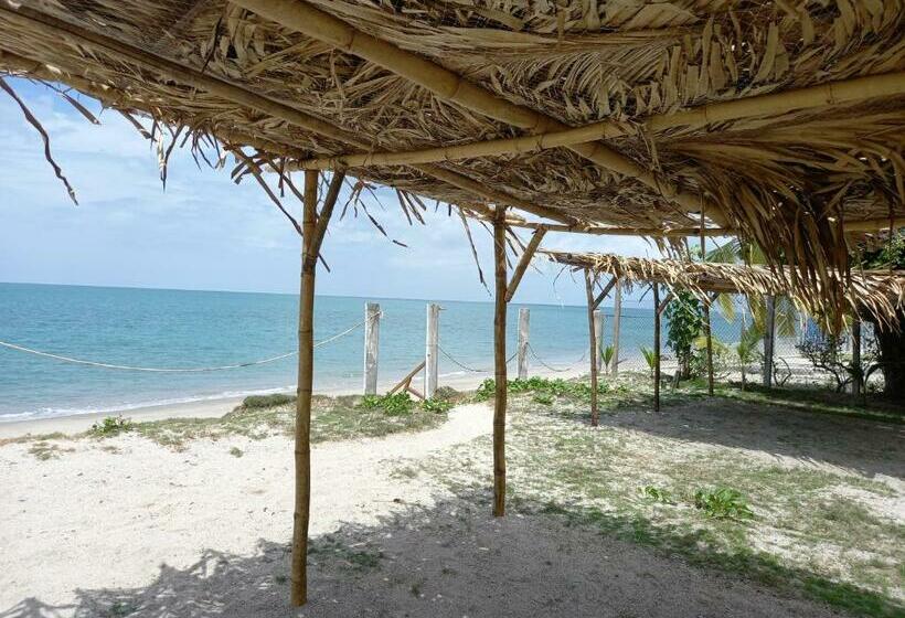 جناح, Togo B&b Farallon