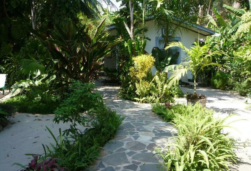 جناح, Togo B&b Farallon