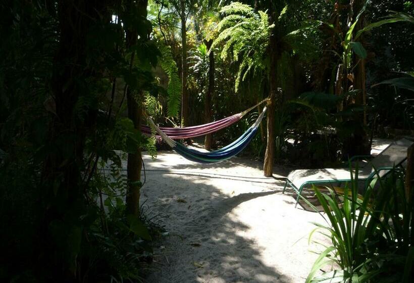 غرفة قياسية, Togo B&b Farallon