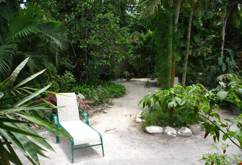 Номер Стандарт, Togo B&b Farallon