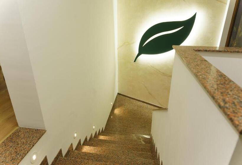 سوئیت 2 خوابه, Camp Karagaq