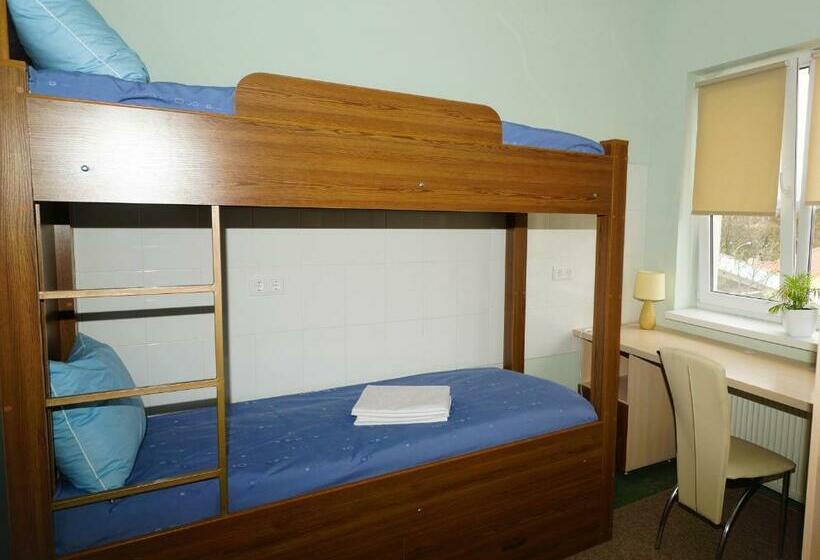 تختخواب در اتاق مشترک, City Hostel Panorama