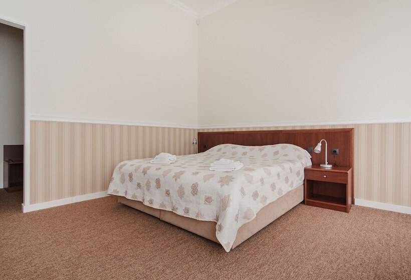 اتاق استاندارد, Consul