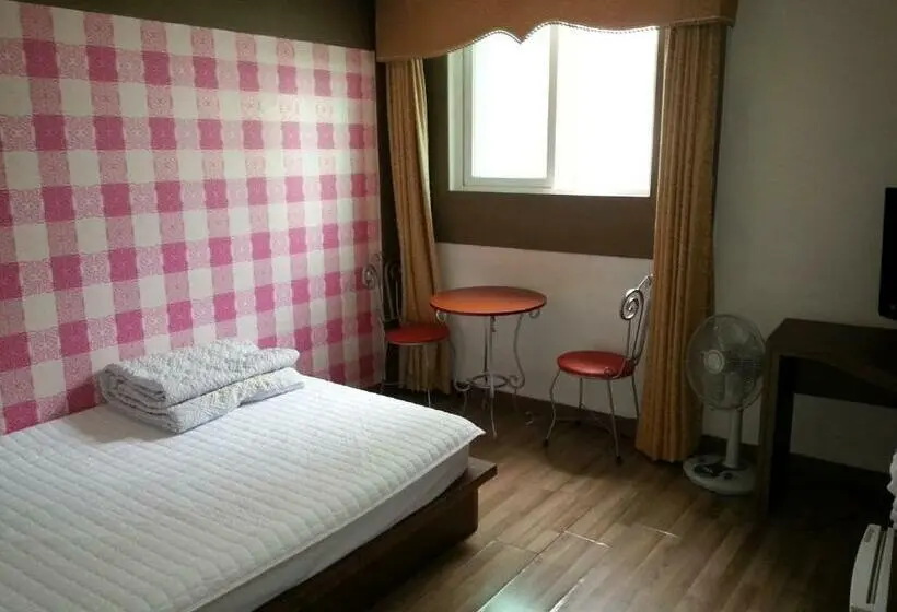 Camera Standard, Egg Motel