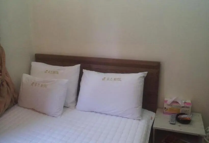Camera Economy, Egg Motel