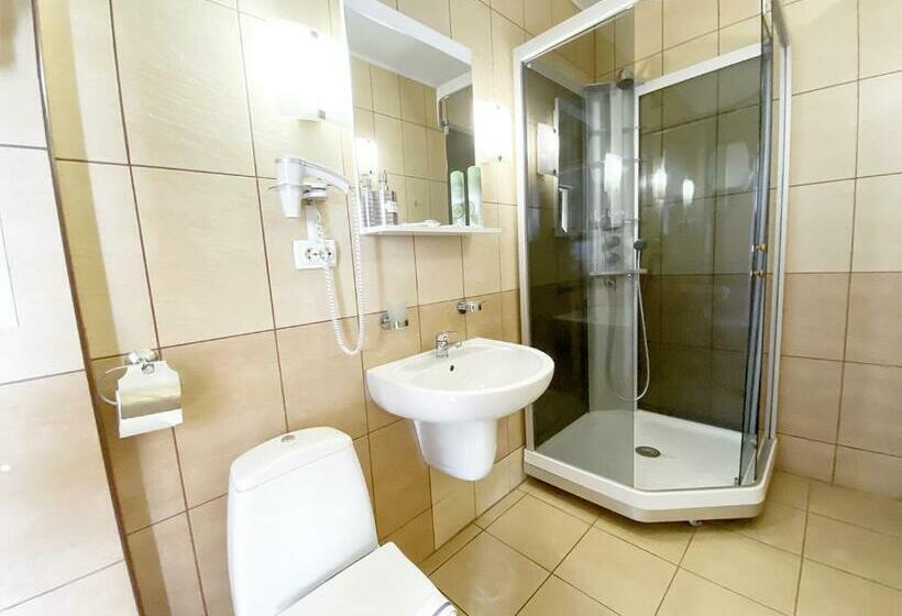 Standaardkamer met 2 Tweepersoonsbedden, готель Elisavetgrad