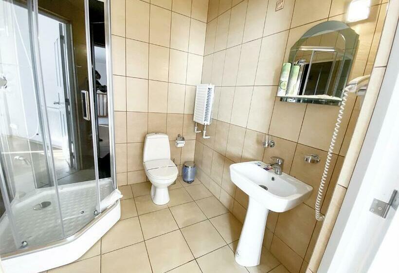 StandaardKamer, готель Elisavetgrad