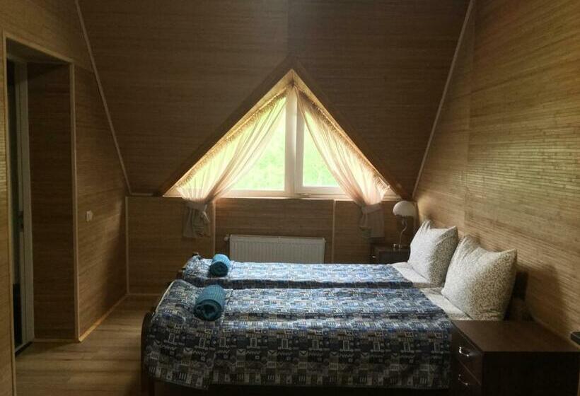 Camera Standard, Fortetsya