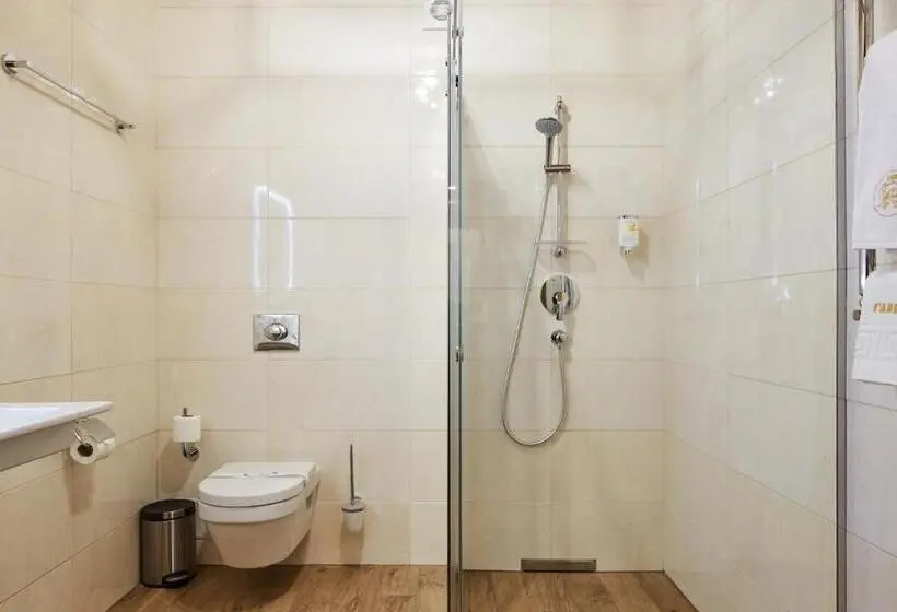 اتاق استاندارد با دسترسی به اسپا, Ganz & Spa