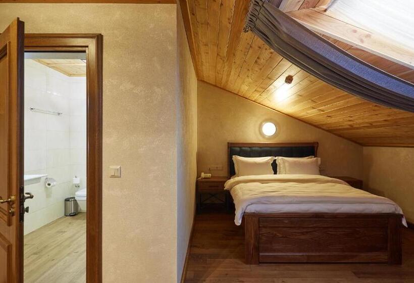 اتاق استاندارد با دسترسی به اسپا, Ganz & Spa