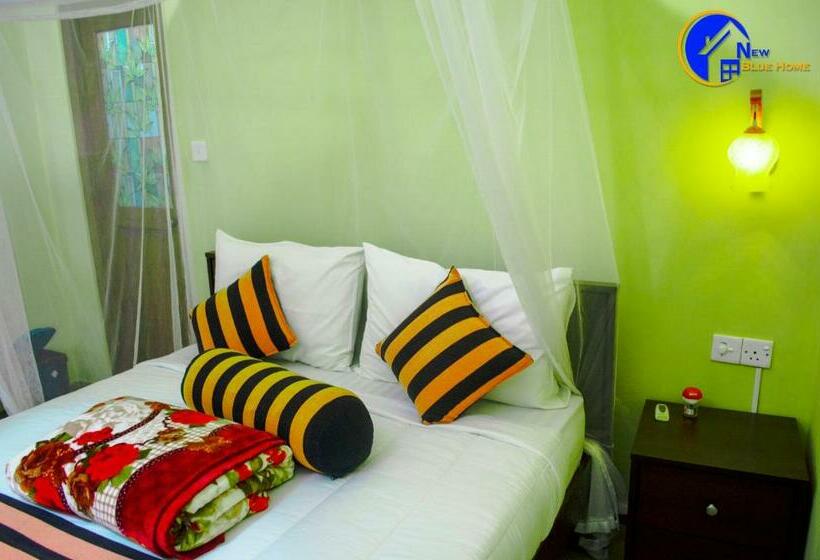 غرفة قياسية, New Blue Home