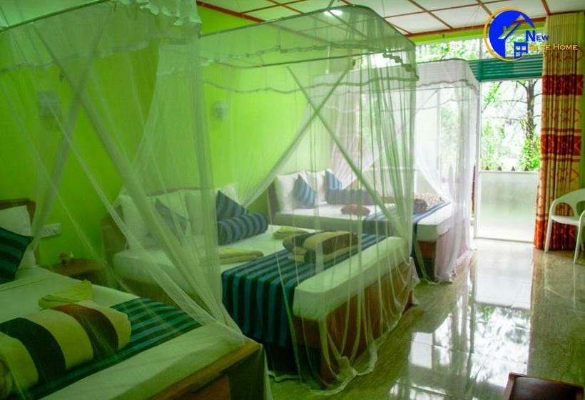 غرفة قياسية ثلاثية, New Blue Home