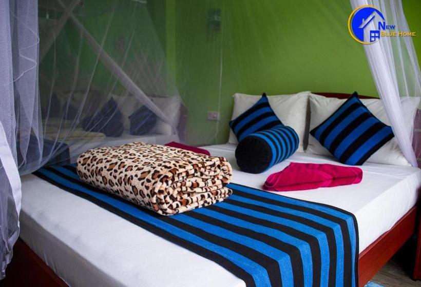 غرفة قياسية ثلاثية, New Blue Home