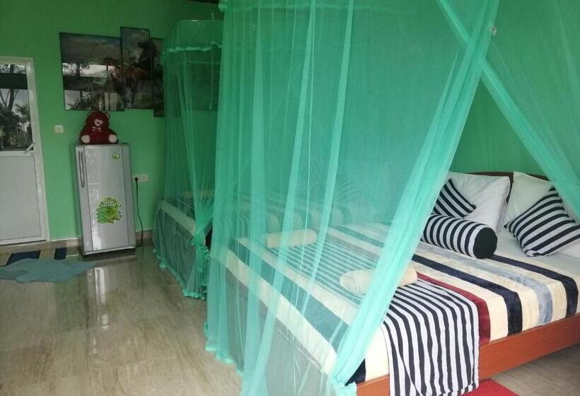 غرفة قياسية رباعية, New Blue Home