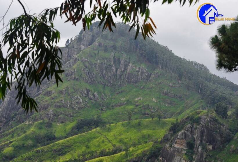 غرفة ديلوكس, New Blue Home