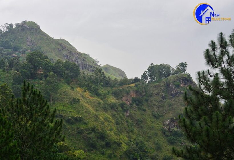 غرفة ديلوكس, New Blue Home