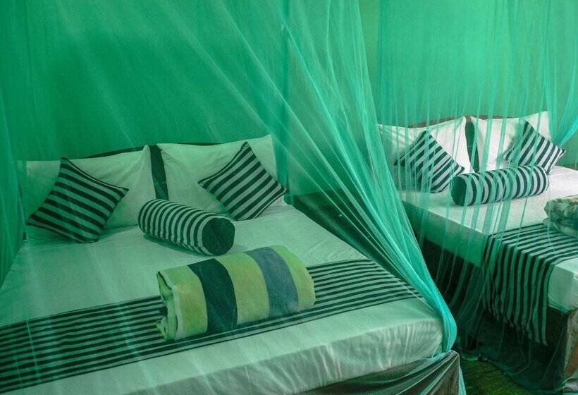 غرفة ديلوكس, New Blue Home