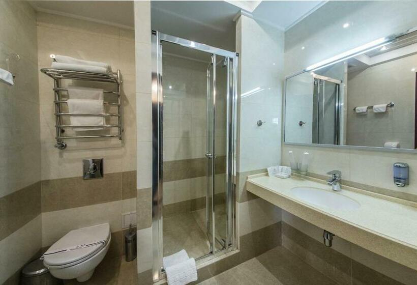 اتاق استاندارد, Sofievsky Posad