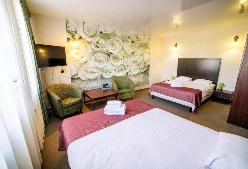 סוויטה, Solomiya