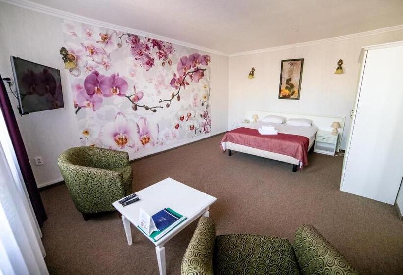 חדר סטנדרט לארבעה, Solomiya