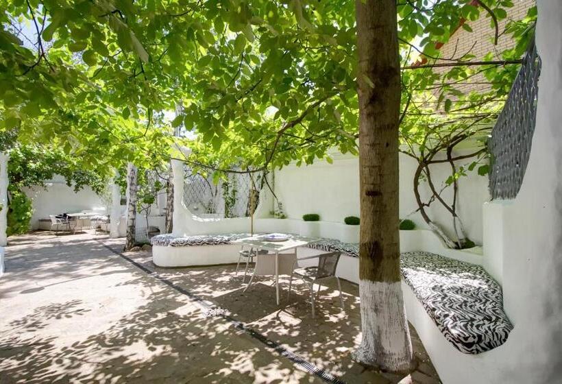 ویلای 3 خوابه, Villa Da Vinci