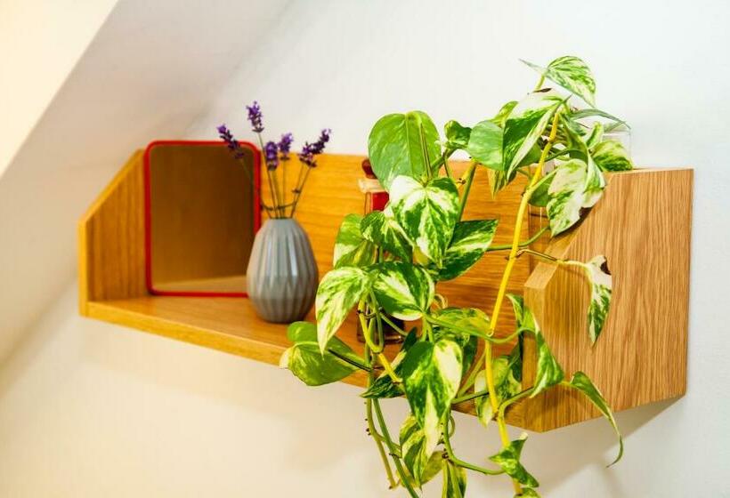 스탠다드 룸 공동 욕실, Turisticka Ubytovna Cakle