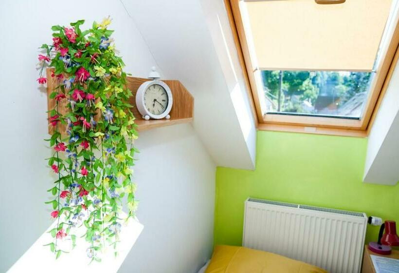 스탠다드 룸 공동 욕실, Turisticka Ubytovna Cakle