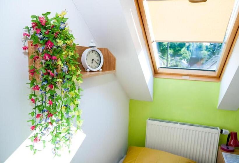 스탠다드 트리픔 룸 공동욕실, Turisticka Ubytovna Cakle