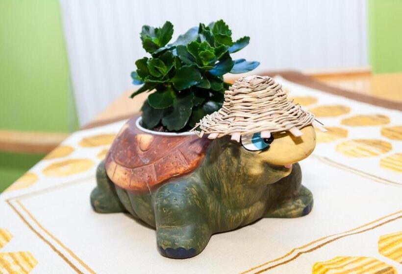 חדר סטנדרטי לארבעה עם חדר אמבטיה משותף, Turisticka Ubytovna Cakle