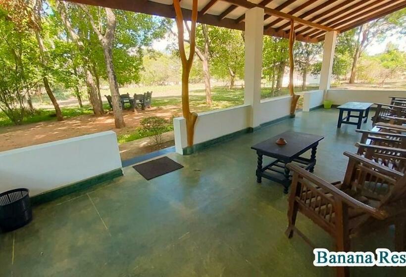Номер Стандарт Трехместный, Banana Rest Sigiriya