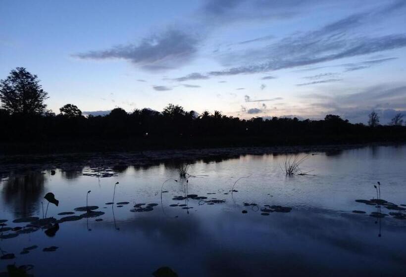 חדר דלוקס, Banana Rest Sigiriya