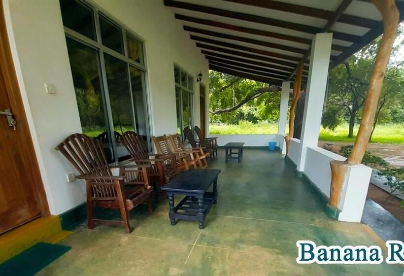 חדר סטנדרט לשלושה, Banana Rest Sigiriya