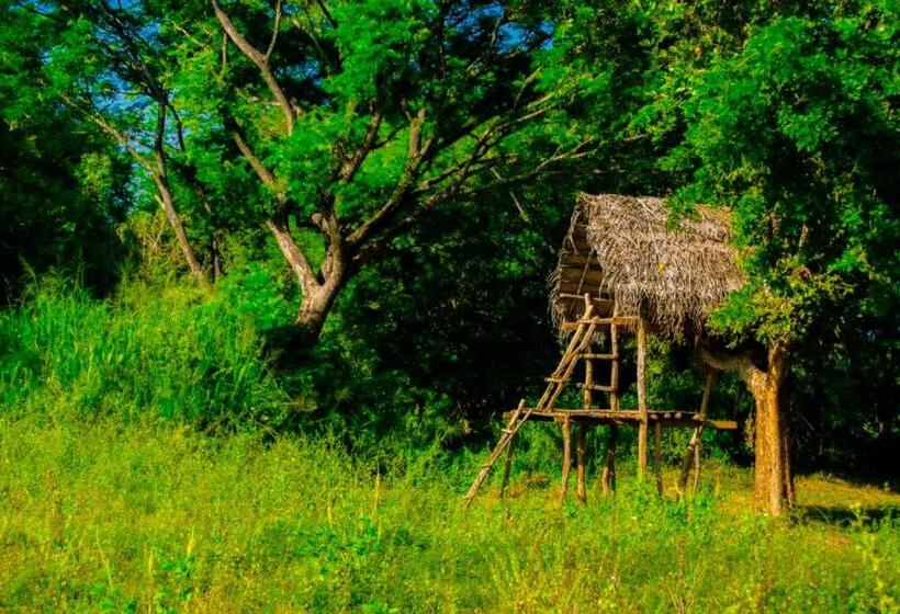 חדר סטנדרט לשלושה, Banana Rest Sigiriya