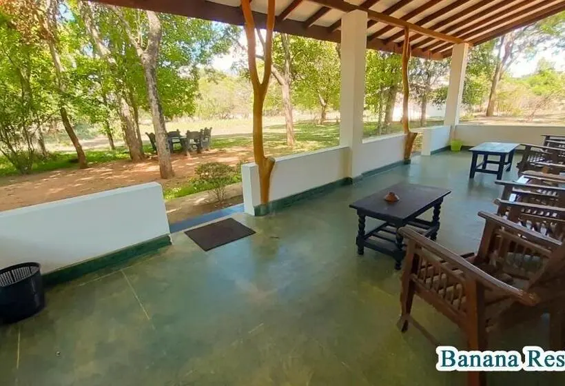 エコノミールーム, Banana Rest Sigiriya