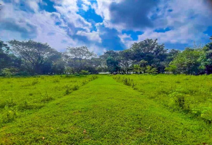 Номер Economy, Banana Rest Sigiriya