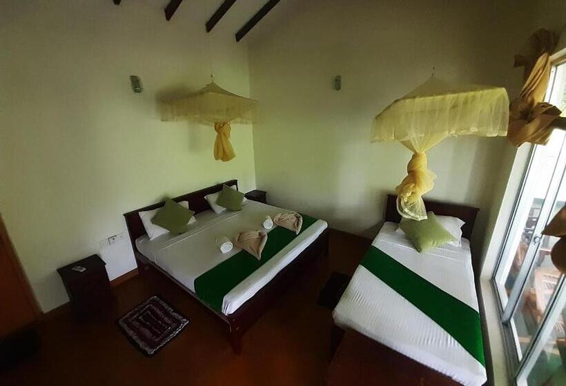 חדר סטנדרט לשלושה, Banana Rest Sigiriya