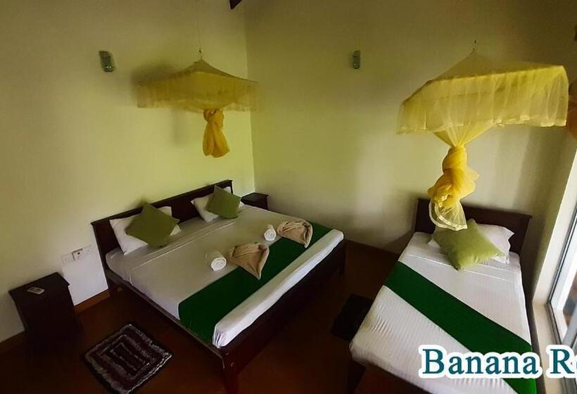 חדר סטנדרט לשלושה, Banana Rest Sigiriya