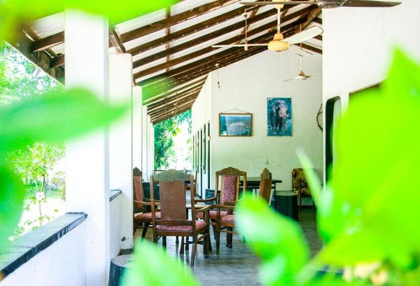 חדר אקונומי, Banana Rest Sigiriya