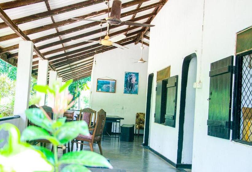 חדר אקונומי, Banana Rest Sigiriya