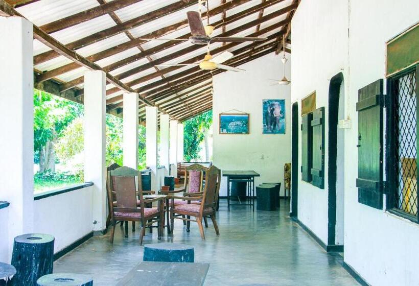 Номер Economy, Banana Rest Sigiriya