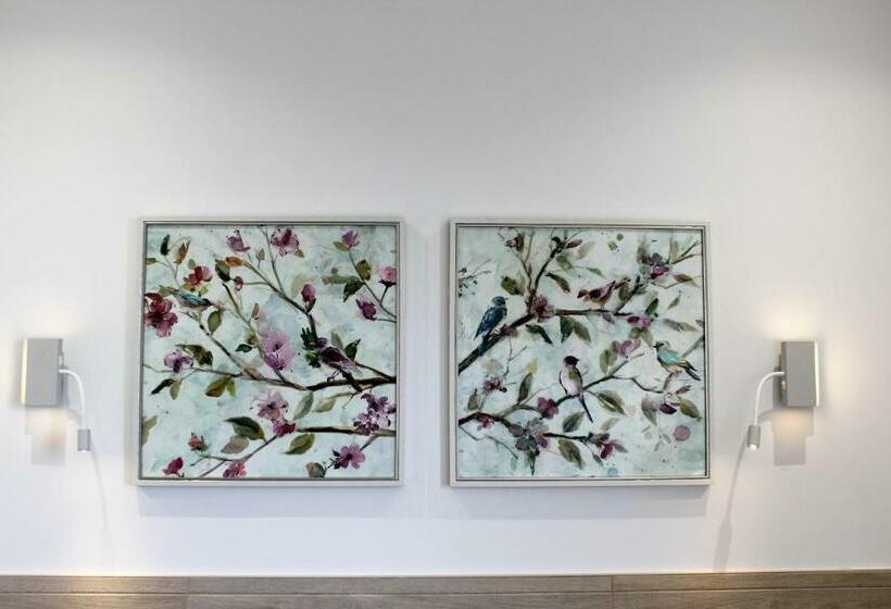 استودیوی استاندارد با چشمانداز دریا, Gazteategi