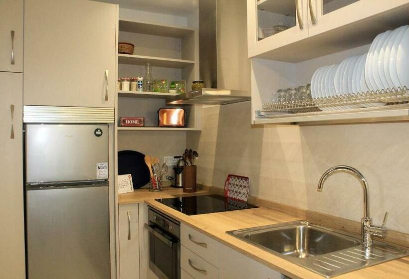 استودیوی استاندارد با چشمانداز دریا, Gazteategi