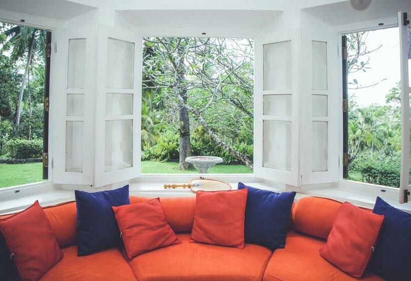 Люкс, Templeberg