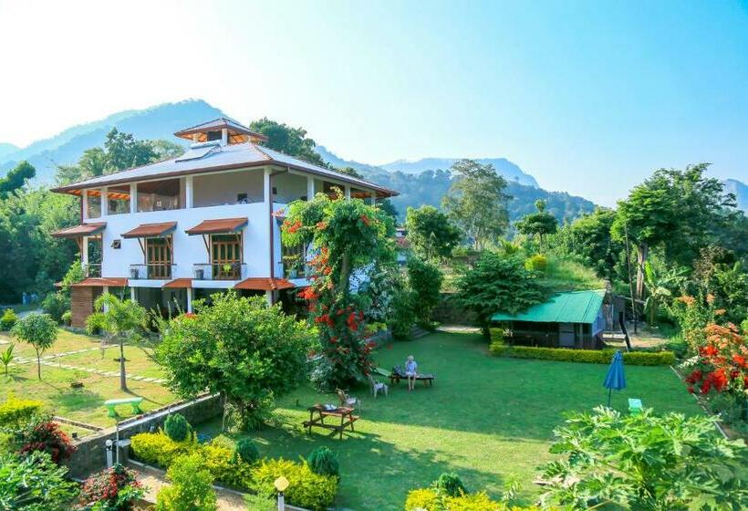 Номер Superior Вид на Сад, Feelin  Good Resort